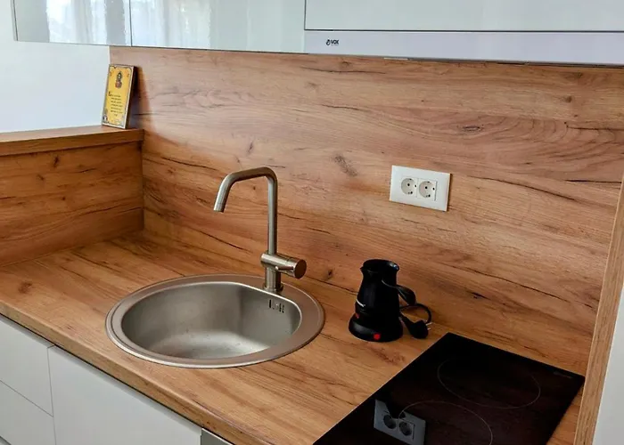 Karingtonka Free Parking 브라네